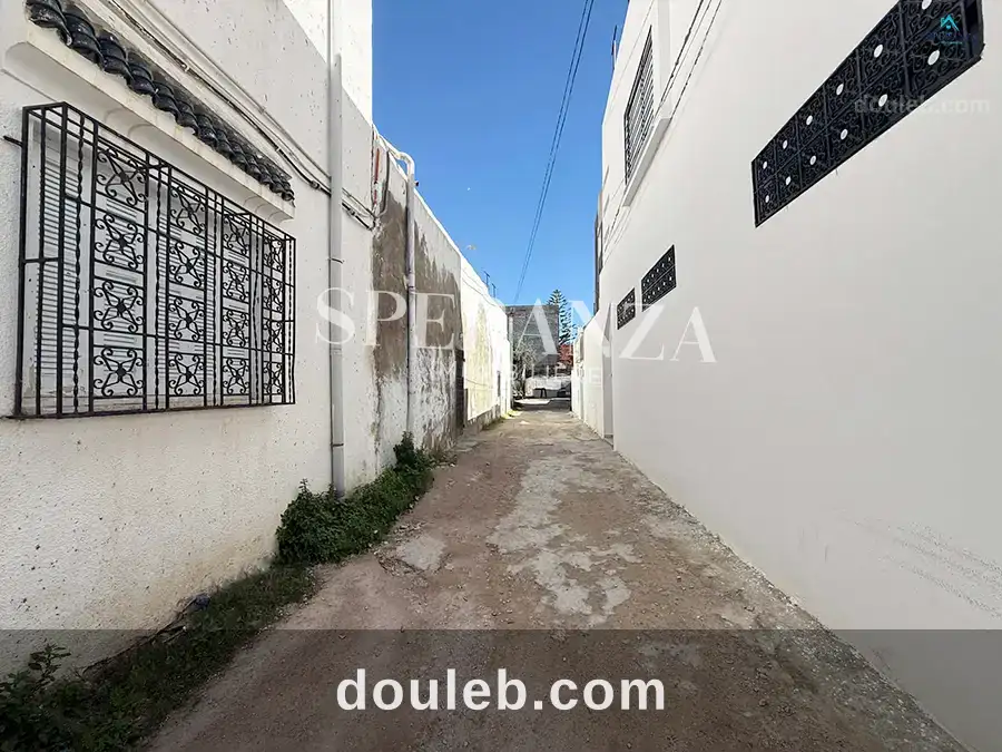 Terrain el yassamine - Miniature 3