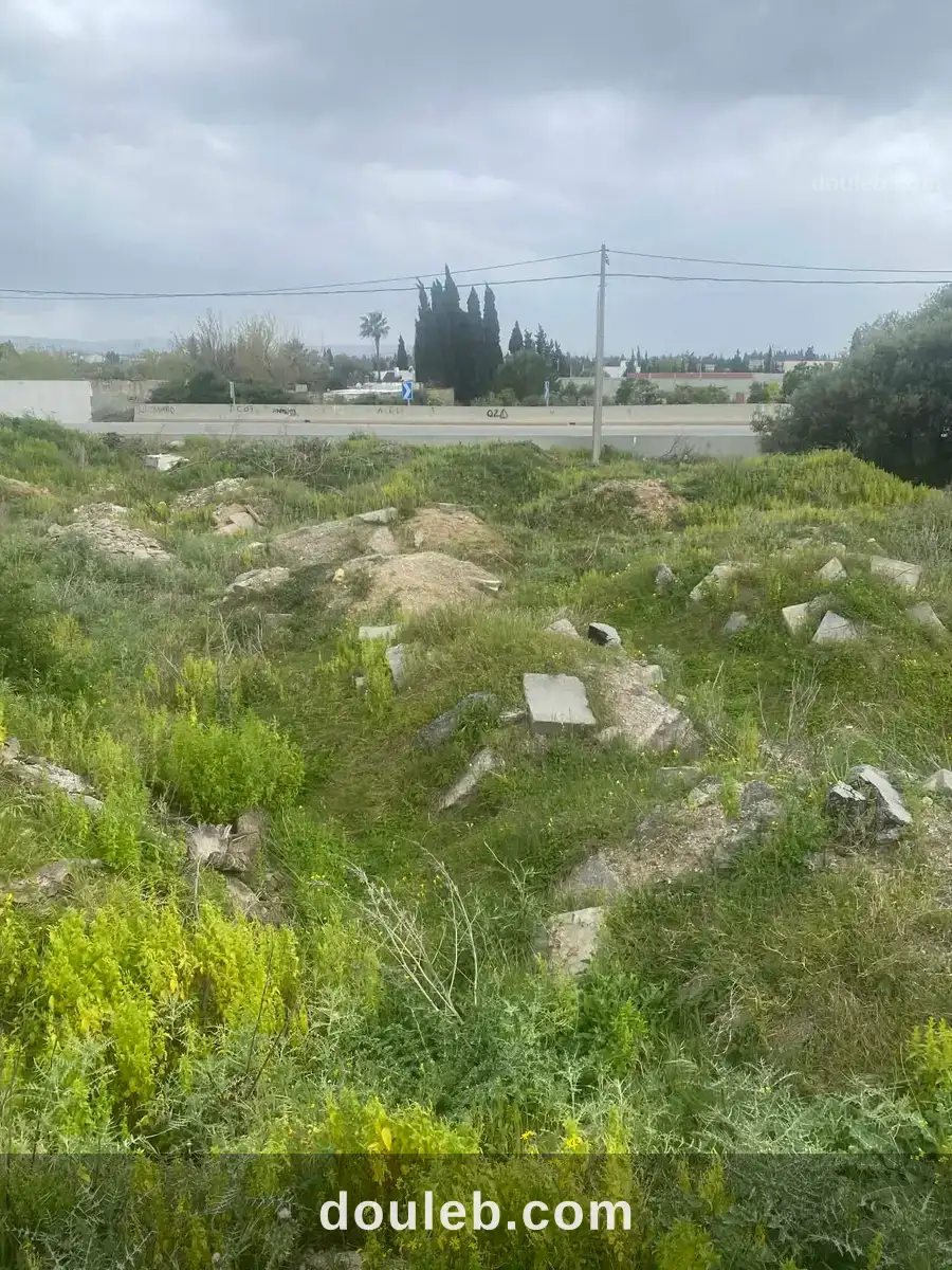 Prés de tout - Miniature 3