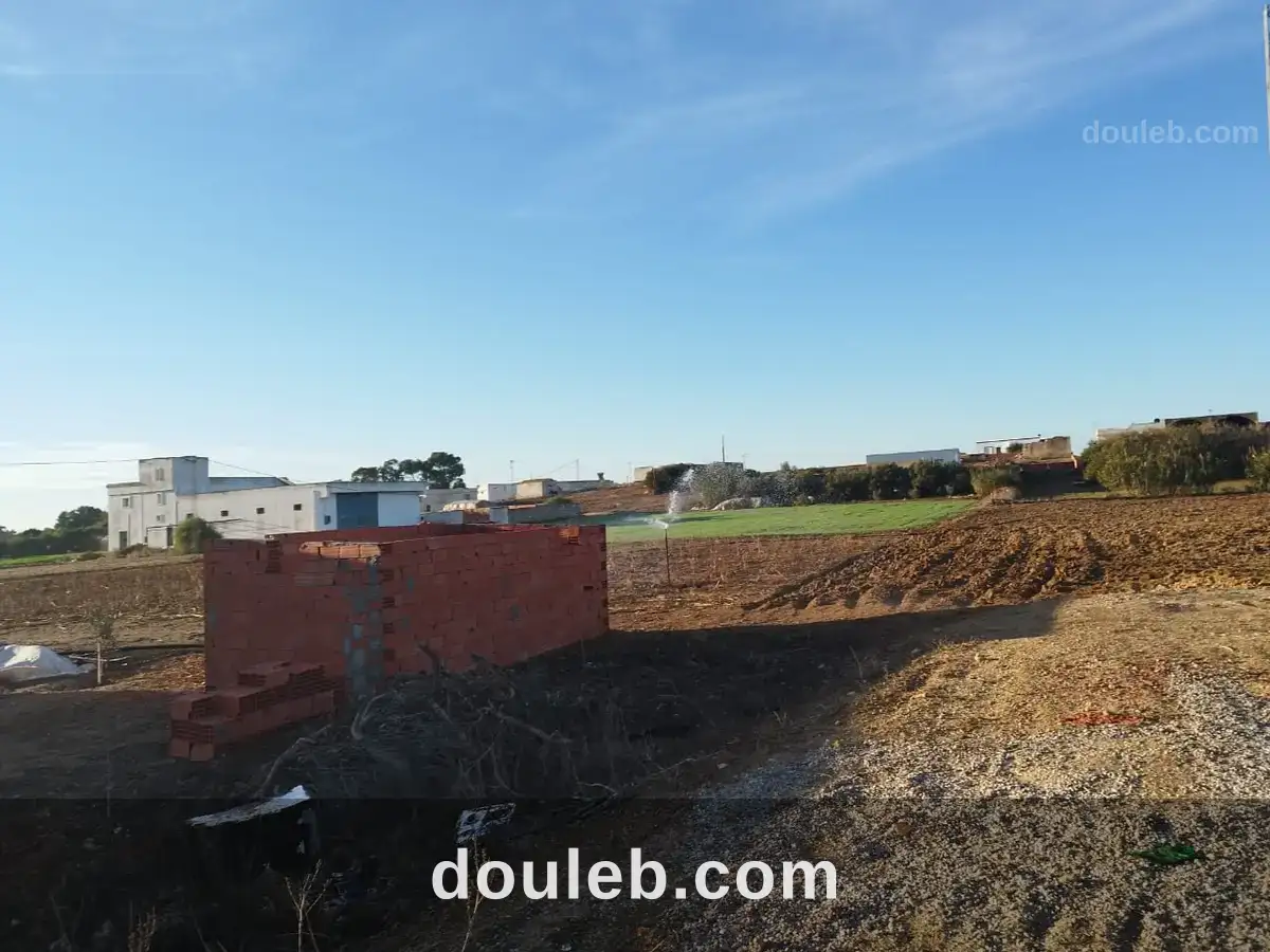 Investissement de 4000m à haouaria - Miniature 3