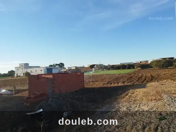 Investissement de 4000m à haouaria - Miniature 4