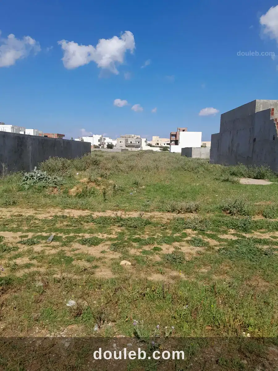Un terrain à dar allouche constructible centre - Miniature 5
