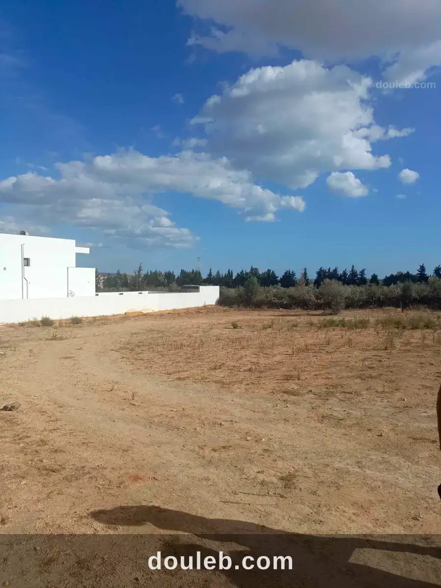 Av terrain de 600m à hammamet sud - Miniature 2