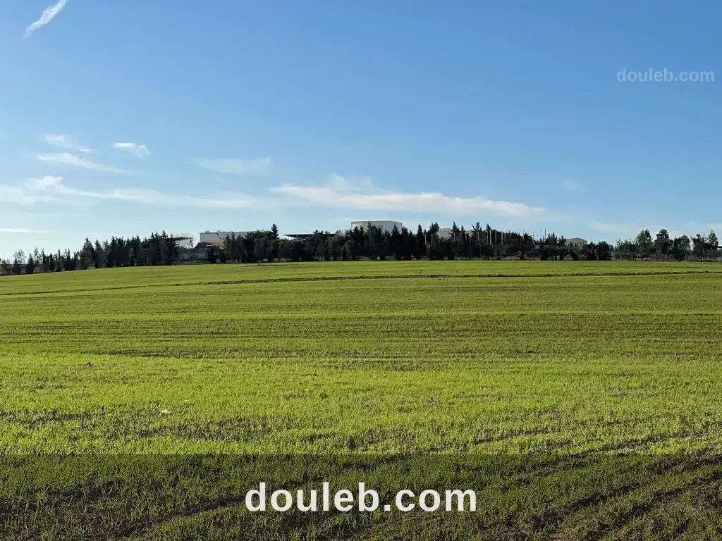 Formidable super ferme 13h - Miniature 3