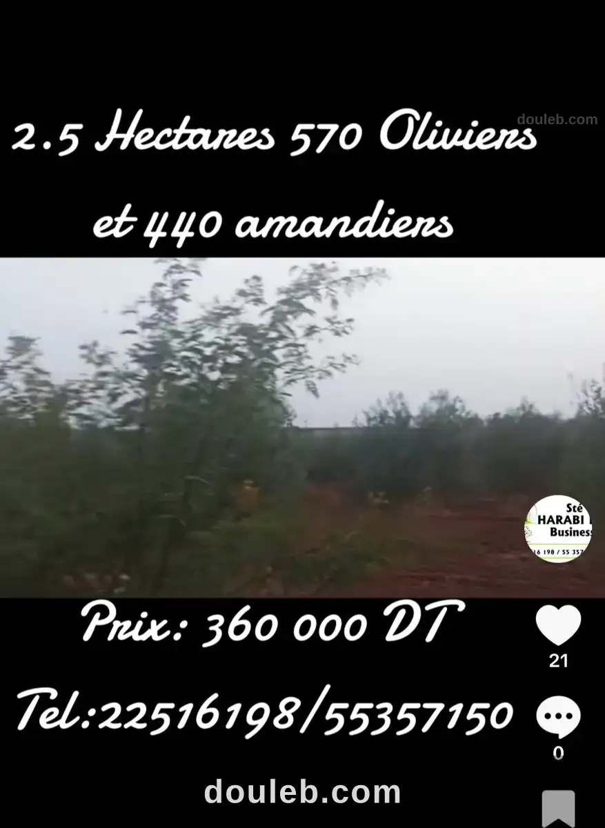 Terrain 570 oliviers et 440 amandiers - Photo 1