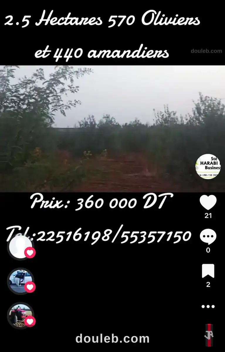 Terrain 570 oliviers et 440 amandiers - Miniature 2