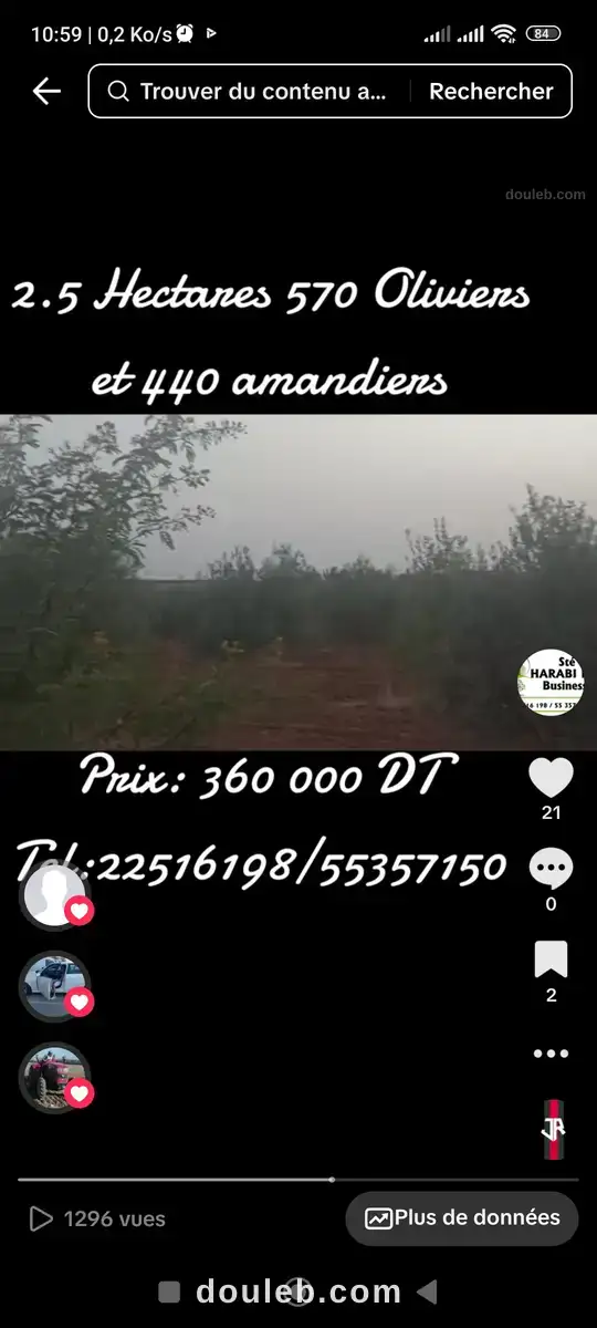 Terrain 570 oliviers et 440 amandiers - Miniature 3