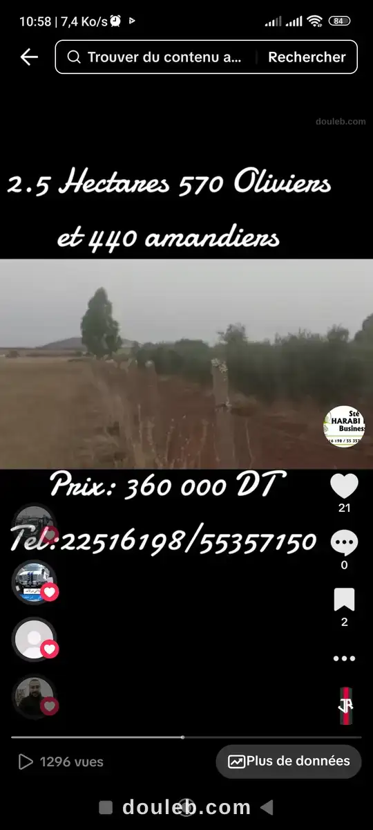 Terrain 570 oliviers et 440 amandiers - Miniature 4