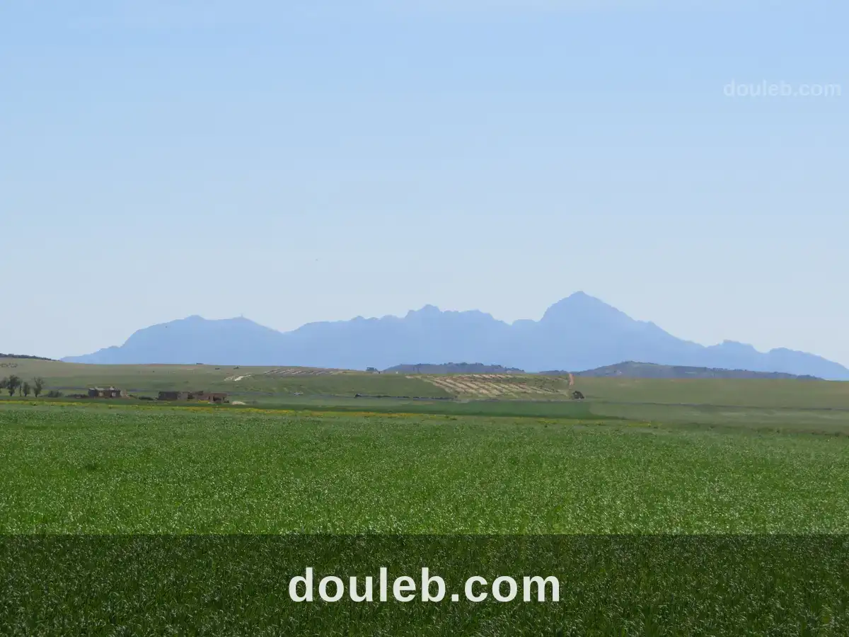 22 hectare terrain plat et fertile - Miniature 2