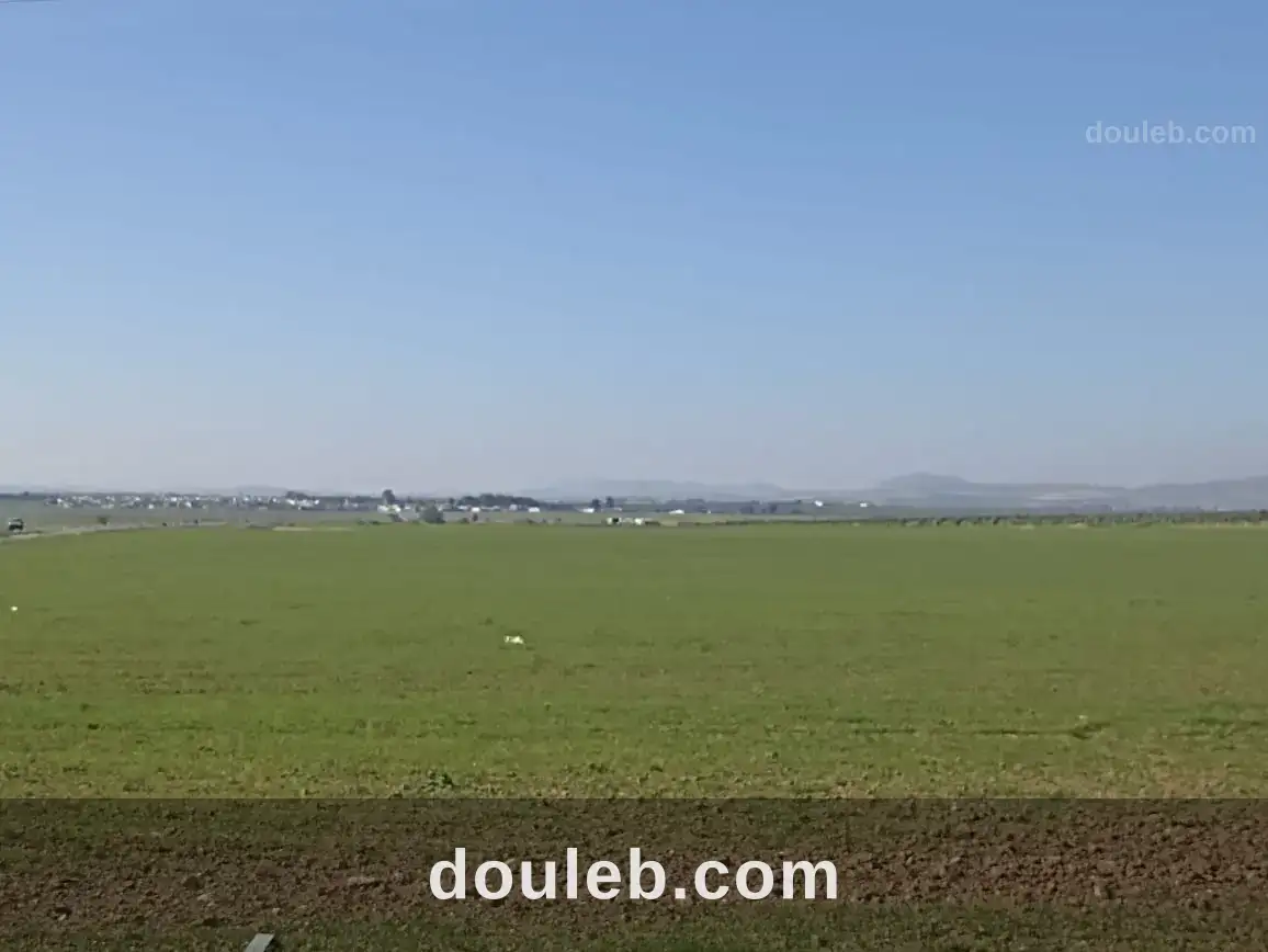 Amplacement favoris kiosque projet commercial - Miniature 3