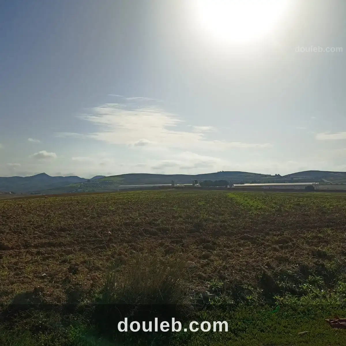 2 hectares 3000m2 à 32km de tunis - Miniature 2