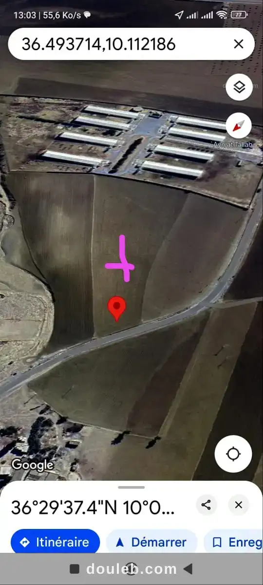 2 hectares 3000m2 à 32km de tunis - Miniature 3