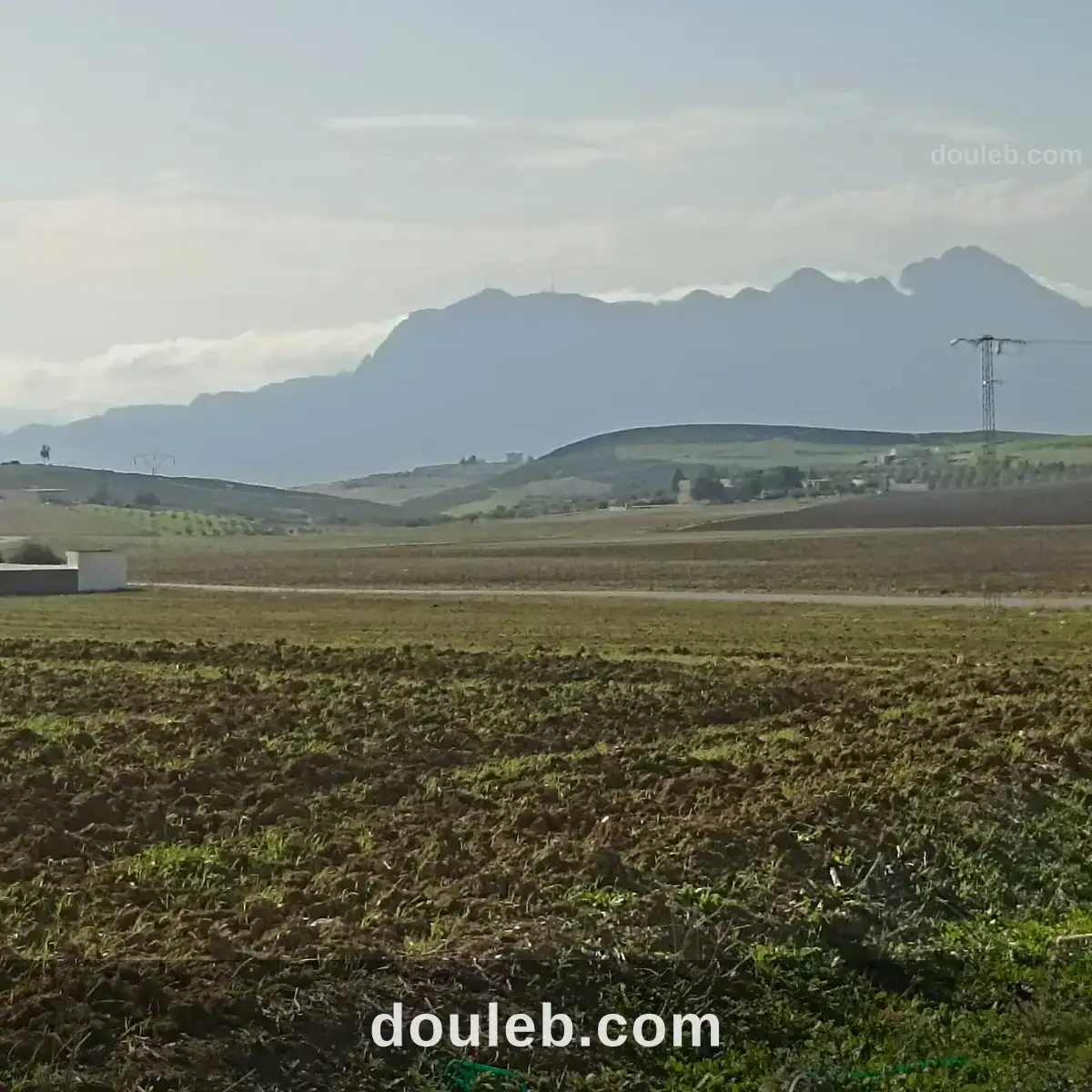 2 hectares 3000m2 à 32km de tunis - Miniature 4