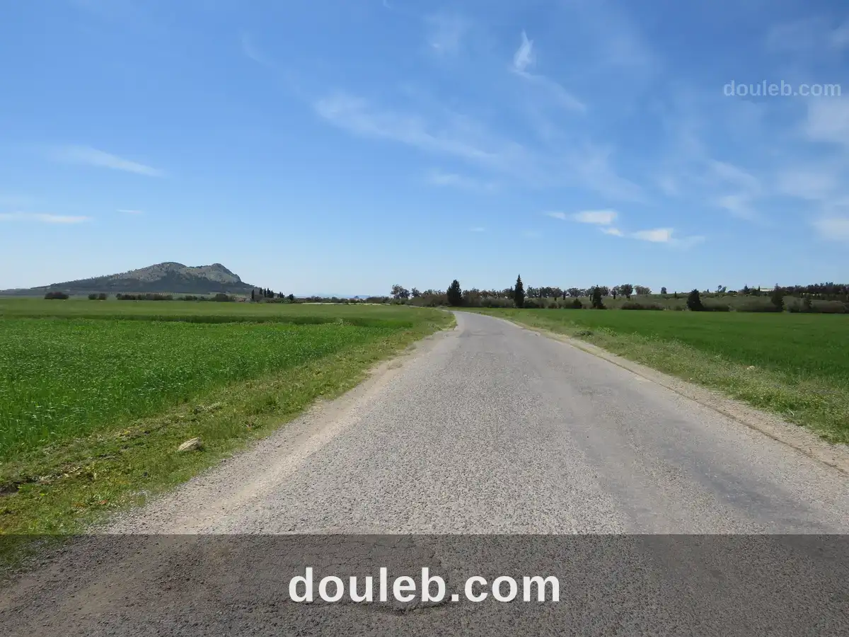 22 hectare terrain plat et fertile - Miniature 4