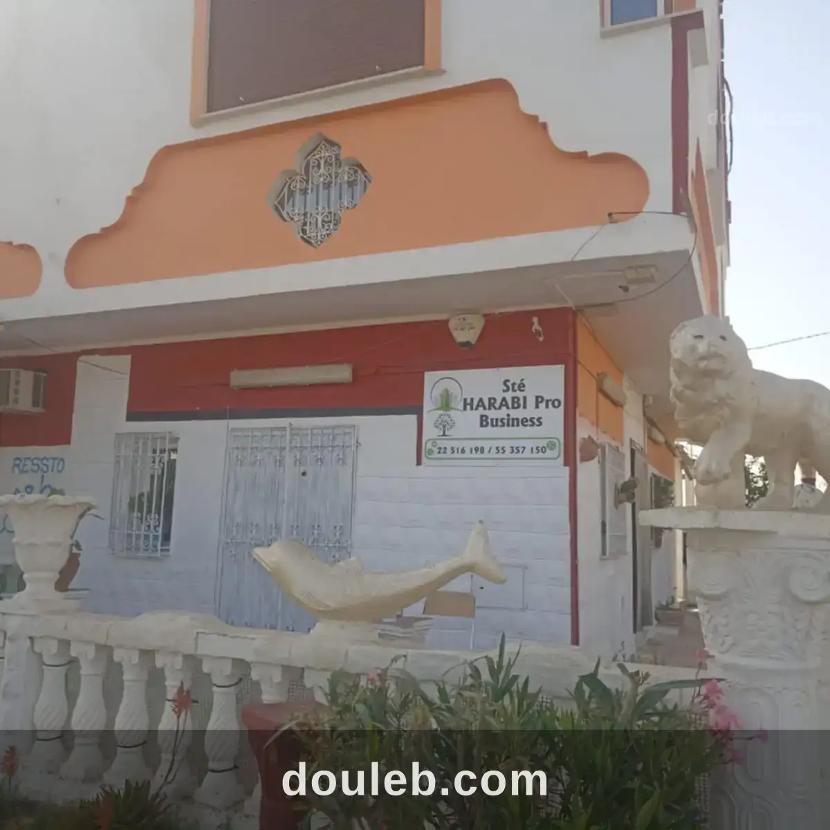 22 hectare terrain plat et fertile - Miniature 5