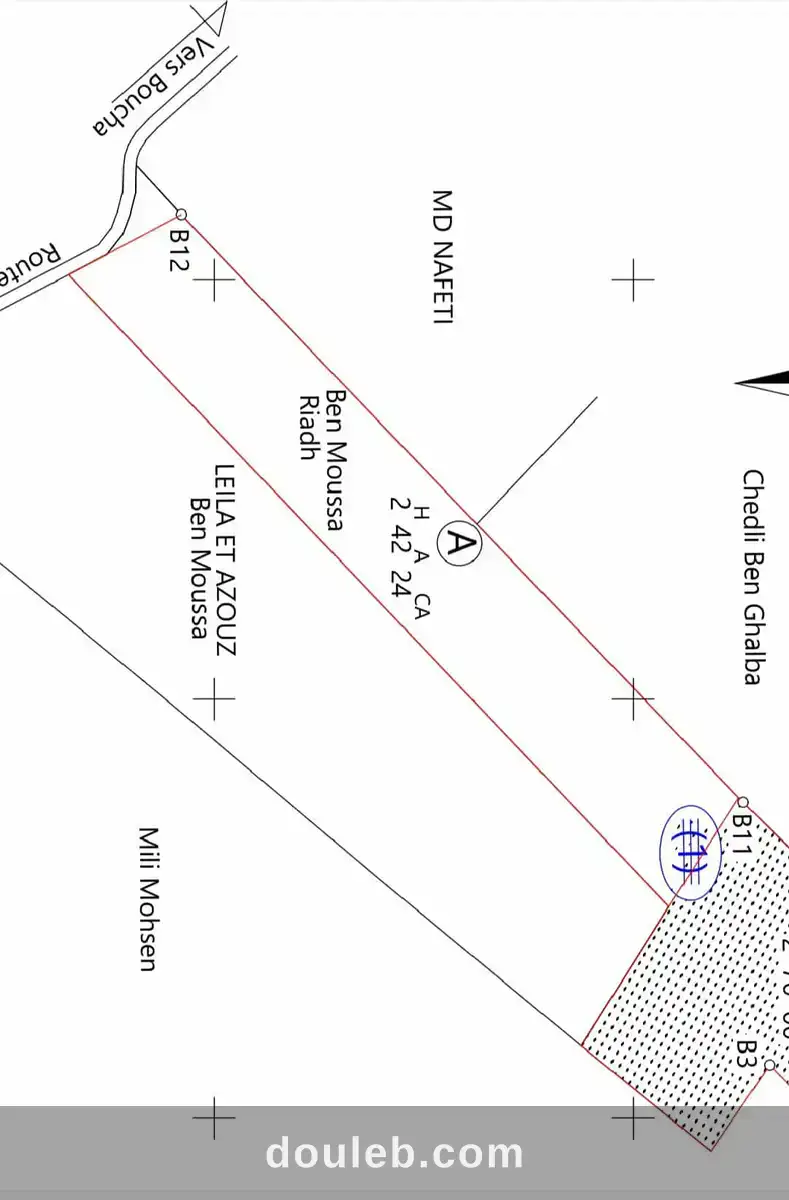 2 hectares sur la route goudronnée à 48km de tunis - Photo 1