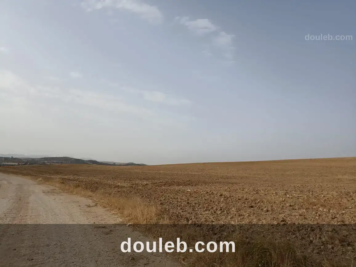 67 hectare sur la route nationale gp3 - Miniature 2