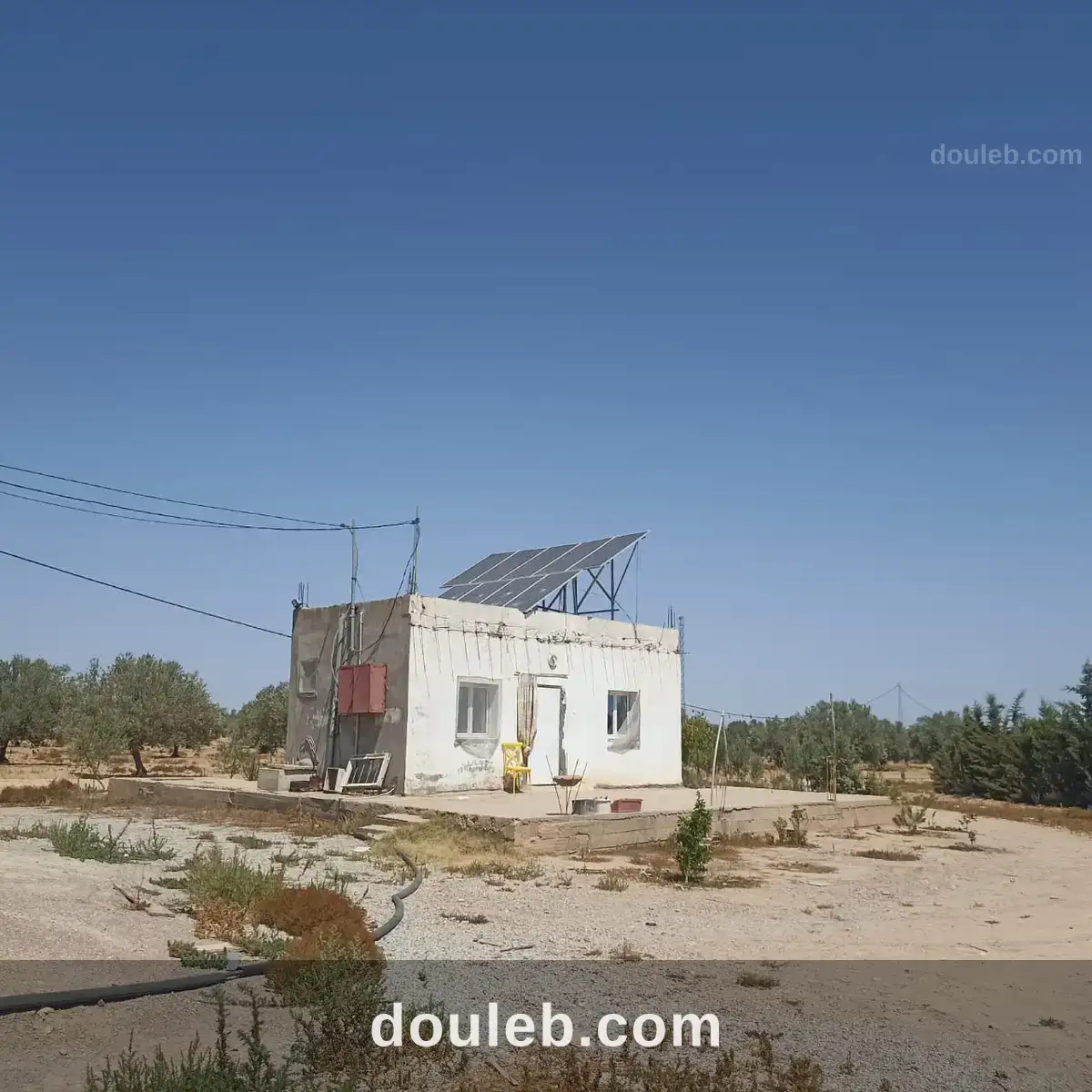 Ferme 65 km de tunis - Miniature 2
