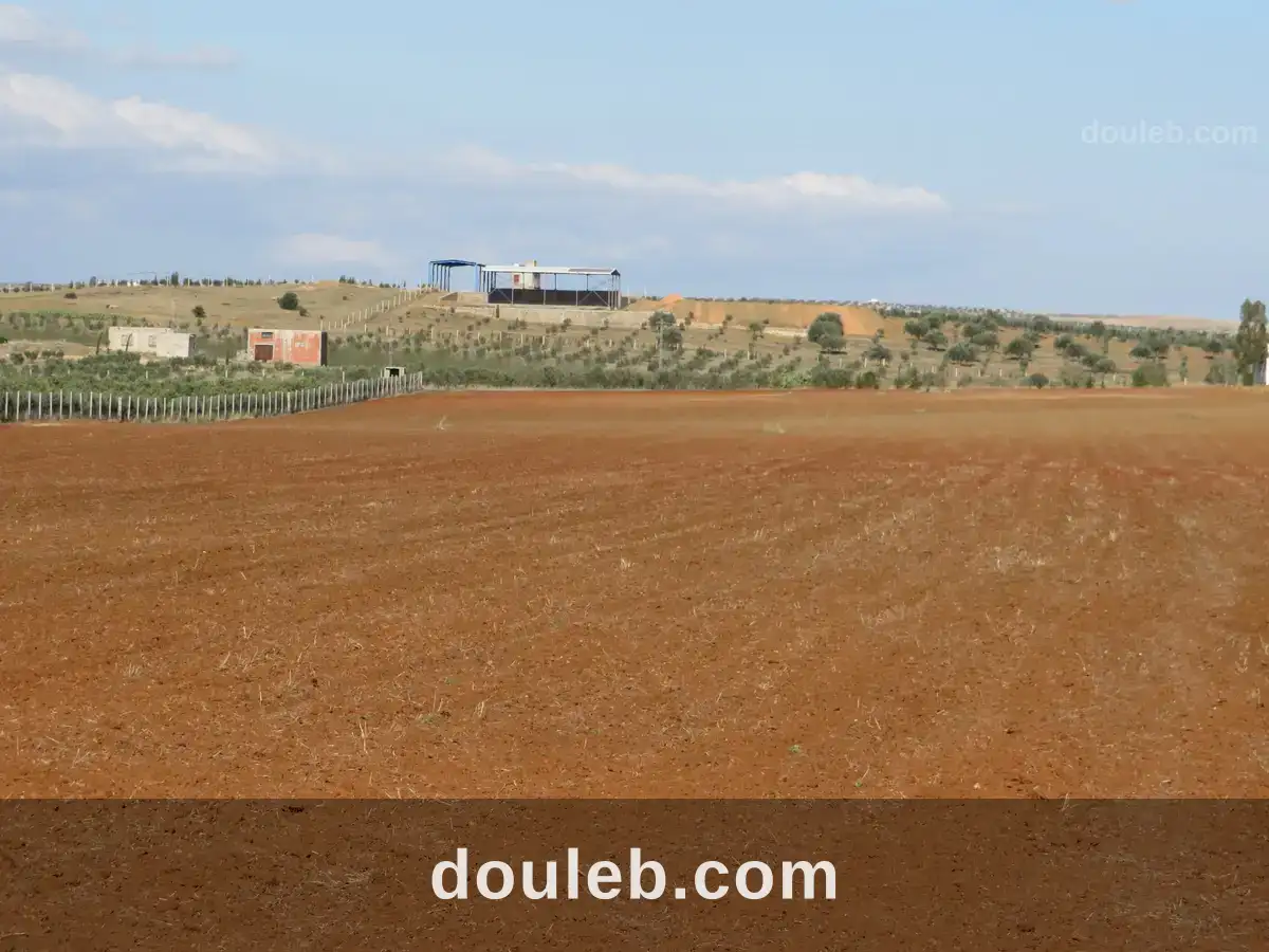 2 hectares sur la route goudronnée à 48km de tunis - Miniature 2