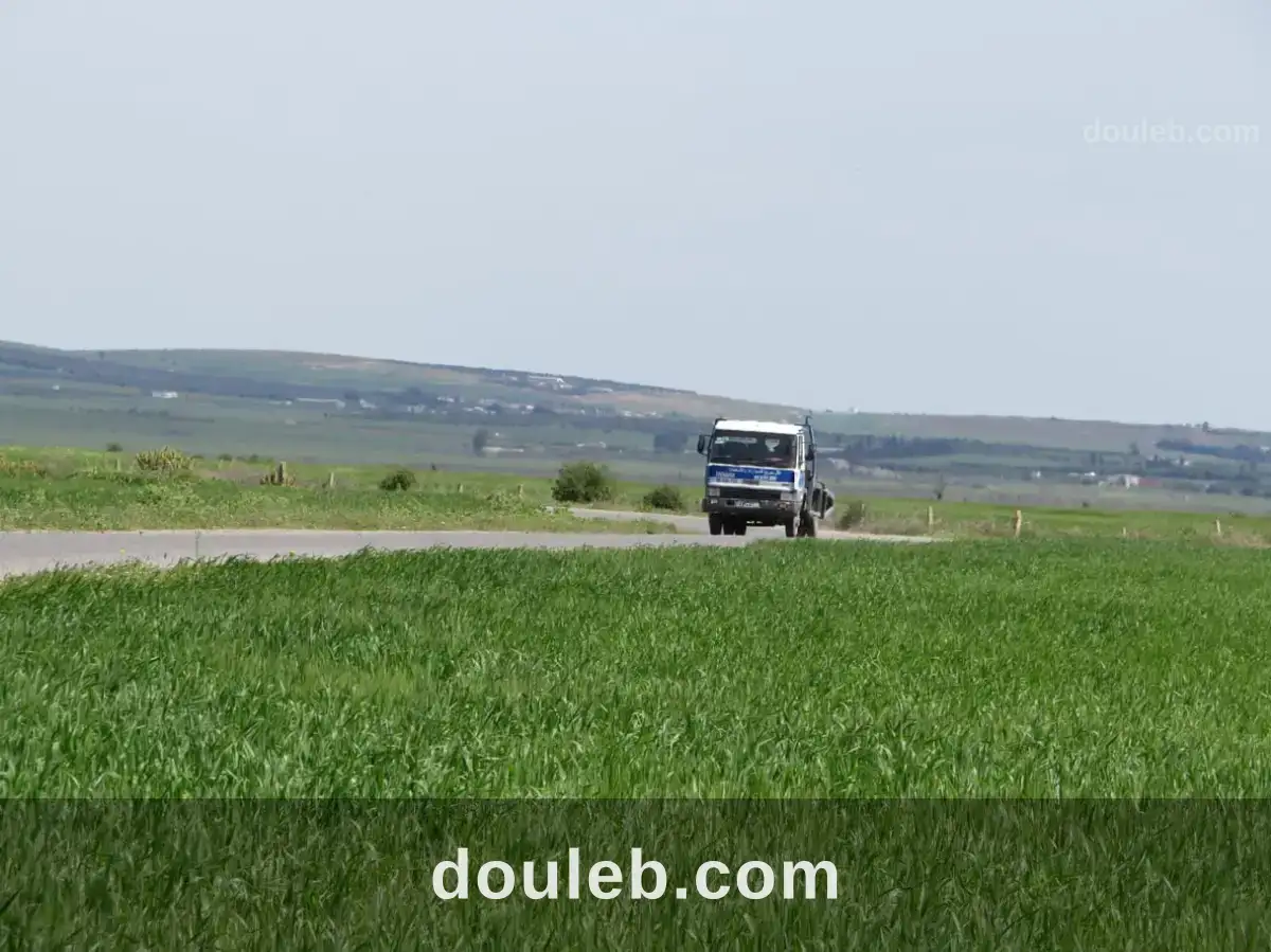 Excellente 22 hectares plat - Miniature 3