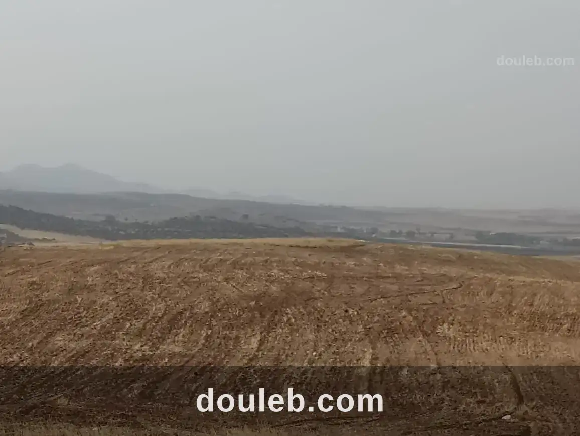 67 hectare sur la route nationale gp3 - Miniature 4