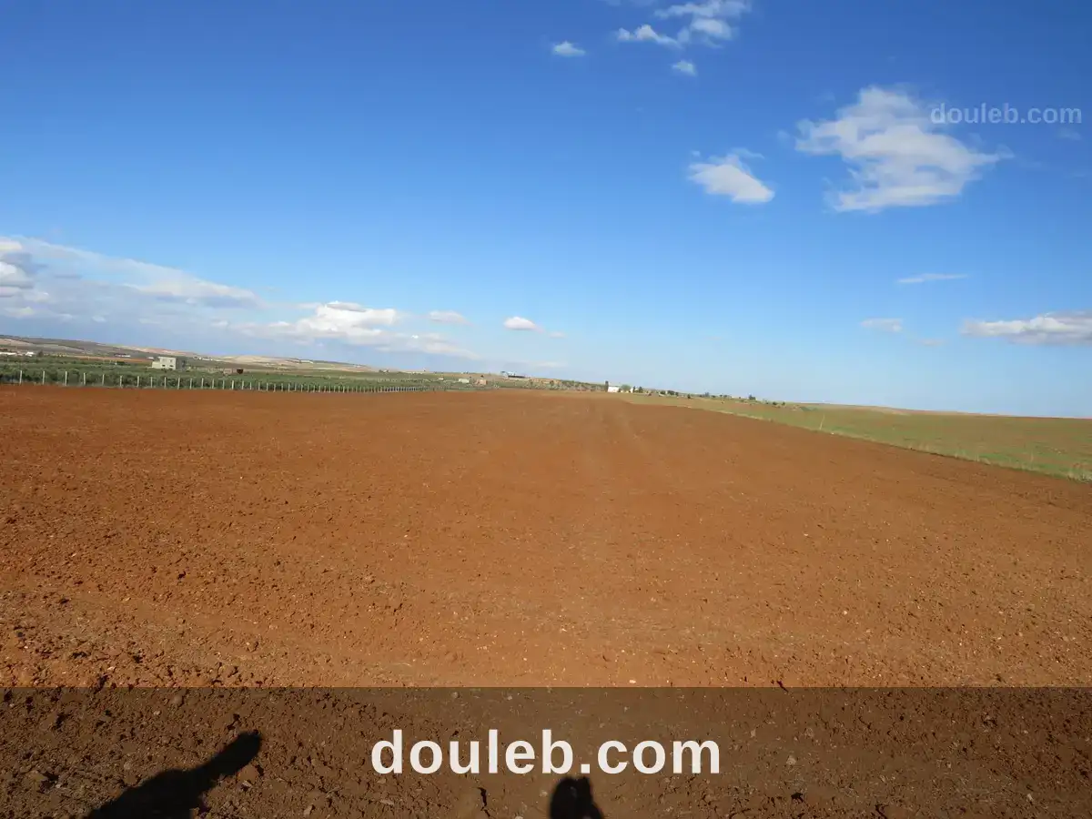 2 hectares sur la route goudronnée à 48km de tunis - Miniature 3