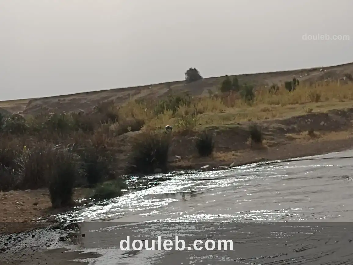 67 hectare sur la route nationale gp3 - Miniature 5