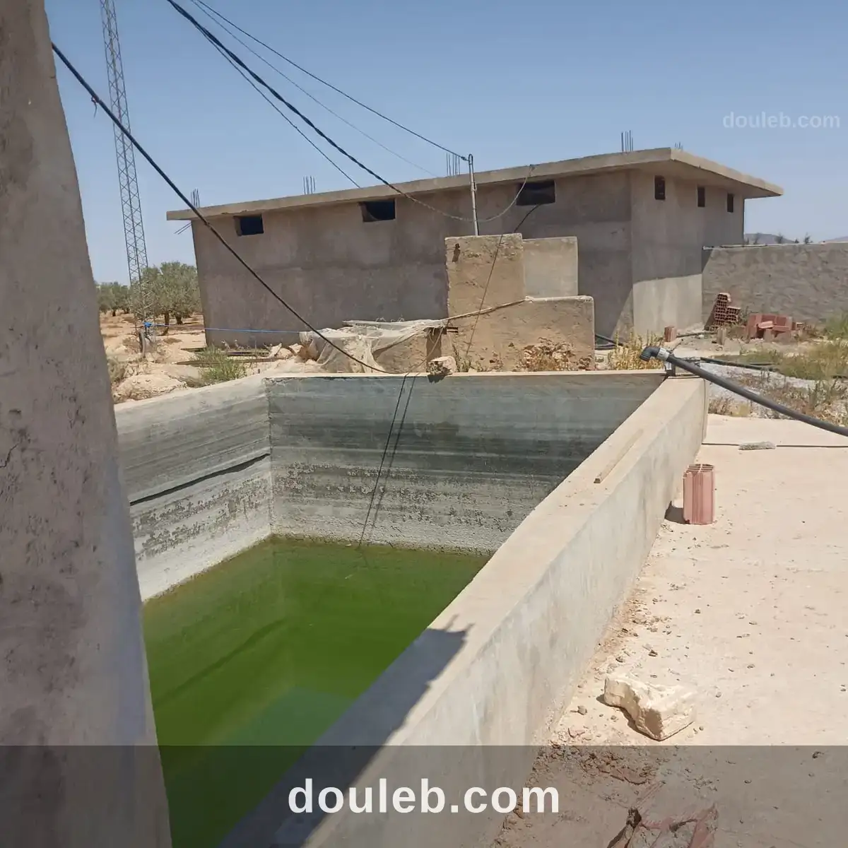 Ferme 65 km de tunis - Miniature 4