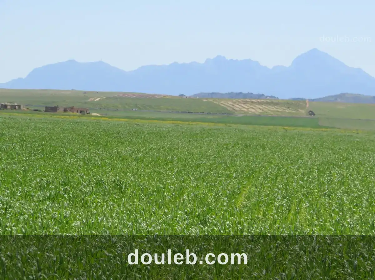 Excellente 22 hectares plat - Miniature 4