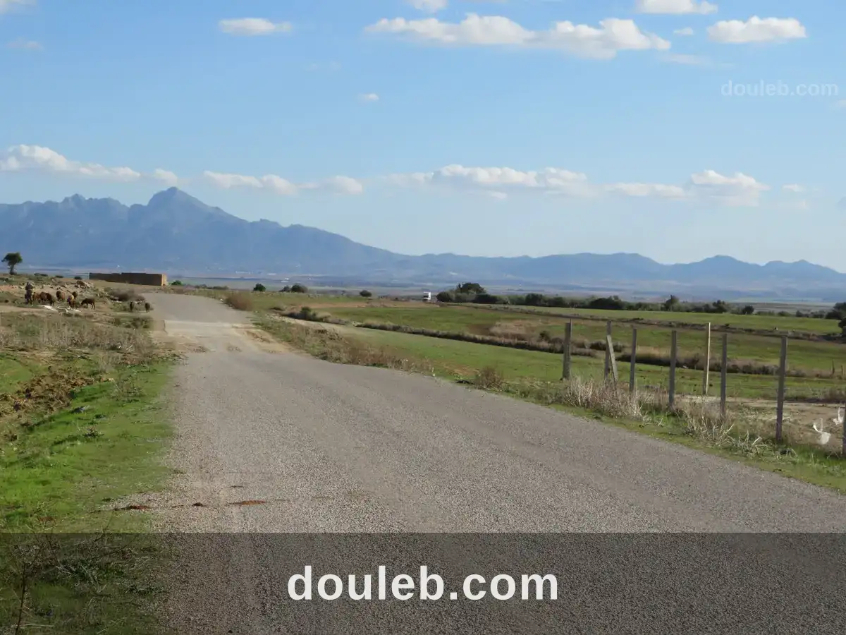 2 hectares sur la route goudronnée à 48km de tunis - Miniature 4