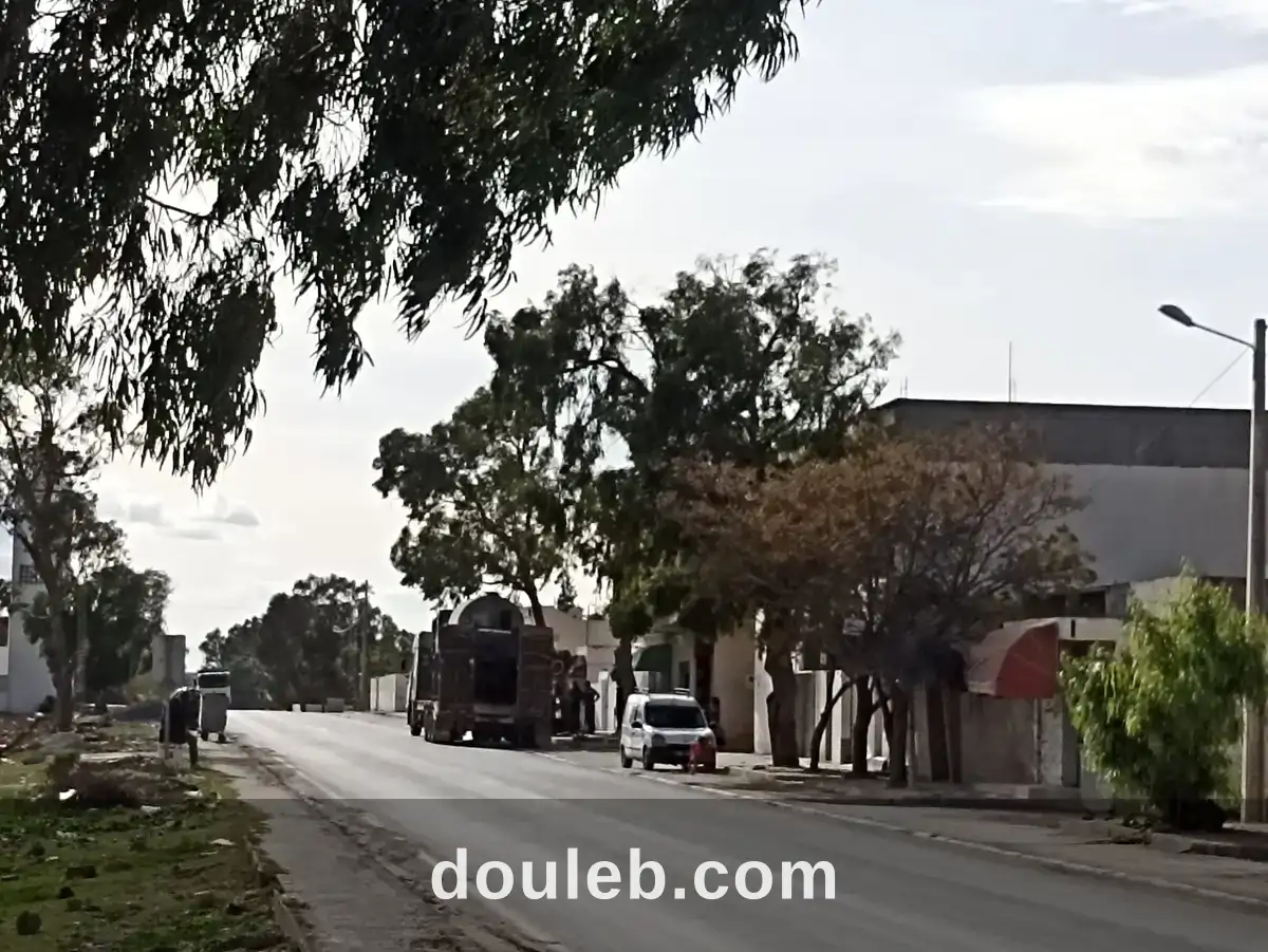 14 hectares a 33 km de tunis - Miniature 5