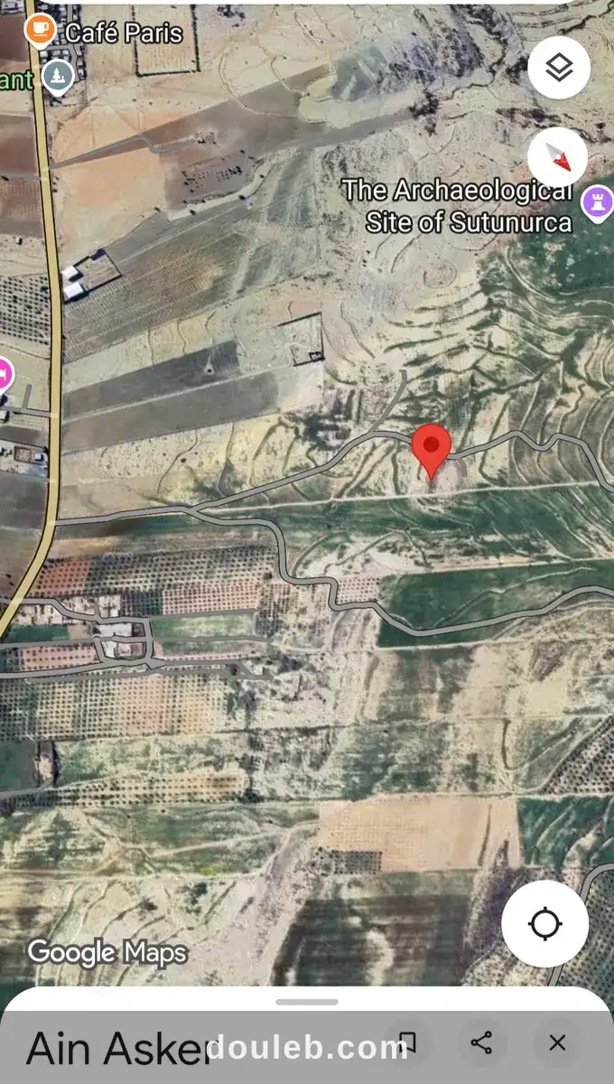 12 hectares nu 32 km de tunis - Miniature 5