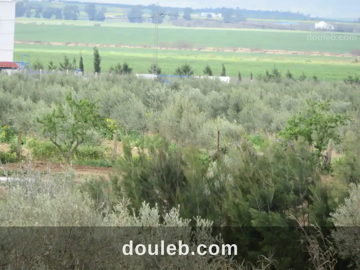 Belle ferme 7 hectares villa haute standing - Miniature 3