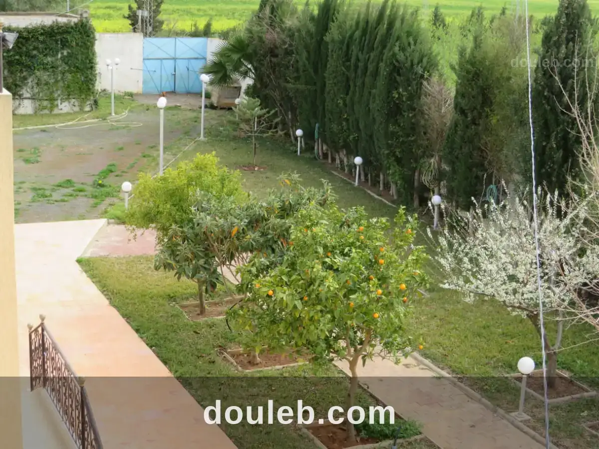 Belle ferme 7 hectares villa haute standing - Miniature 4