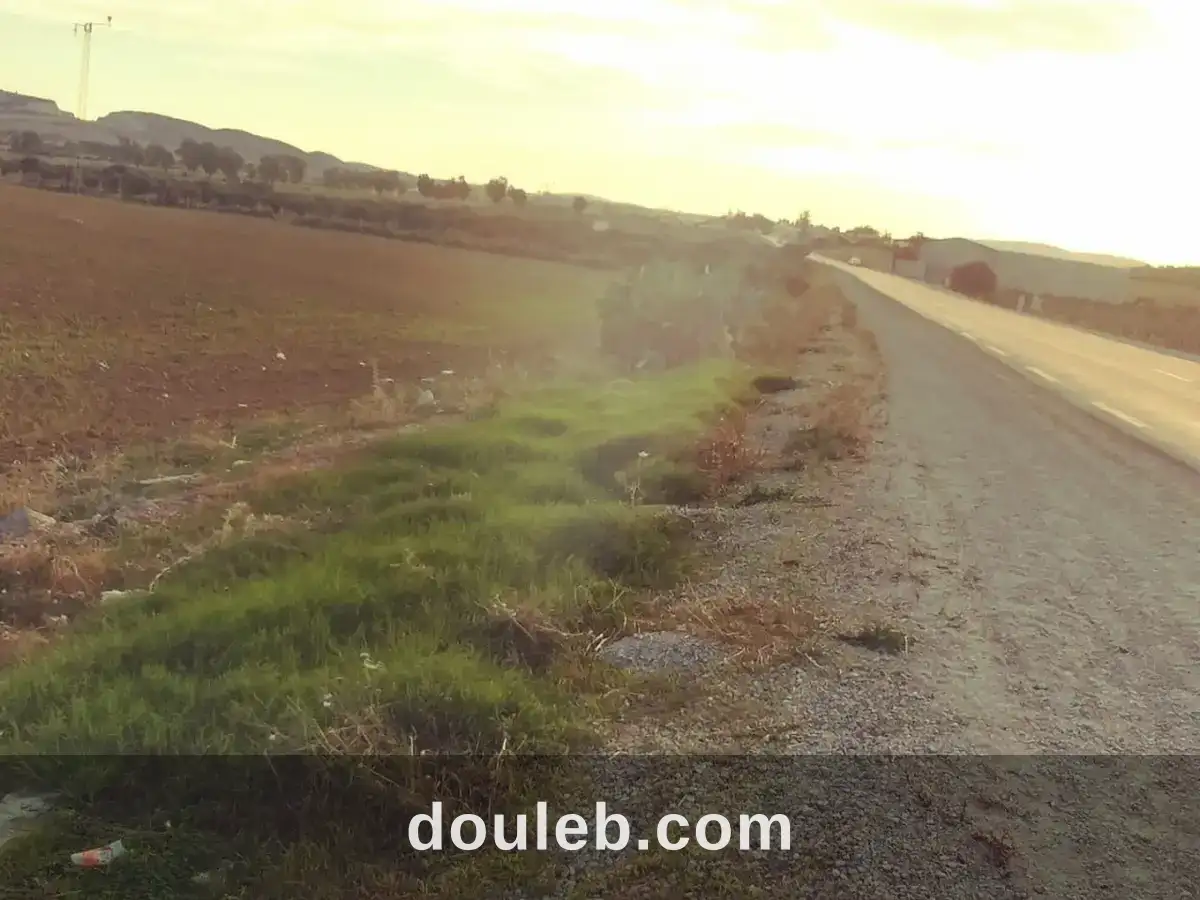 3 hectares 7000m2 nu a ain el asker - Miniature 5