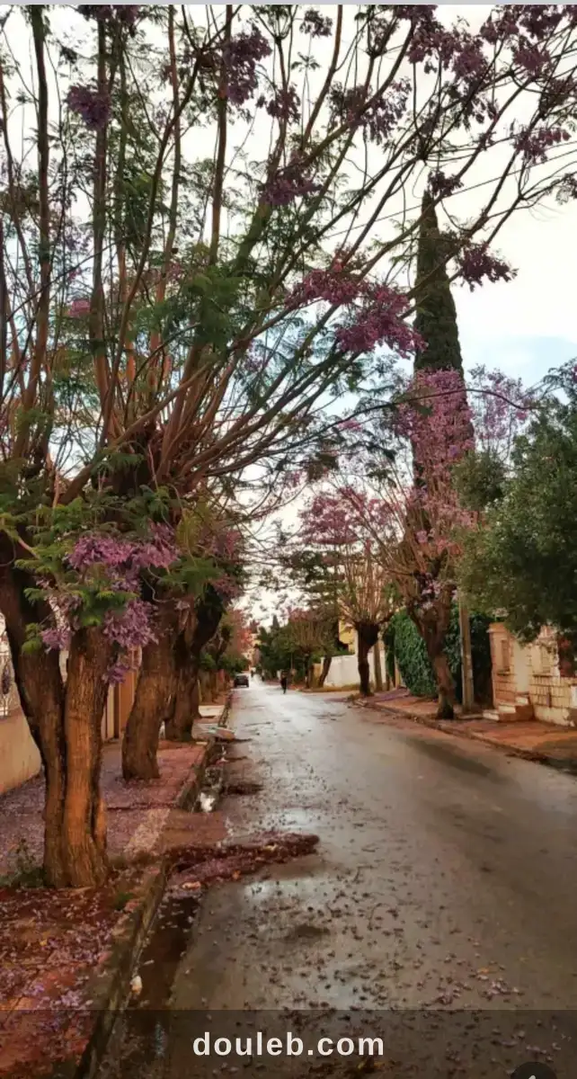 Maison sidi rzig megrine - Miniature 5