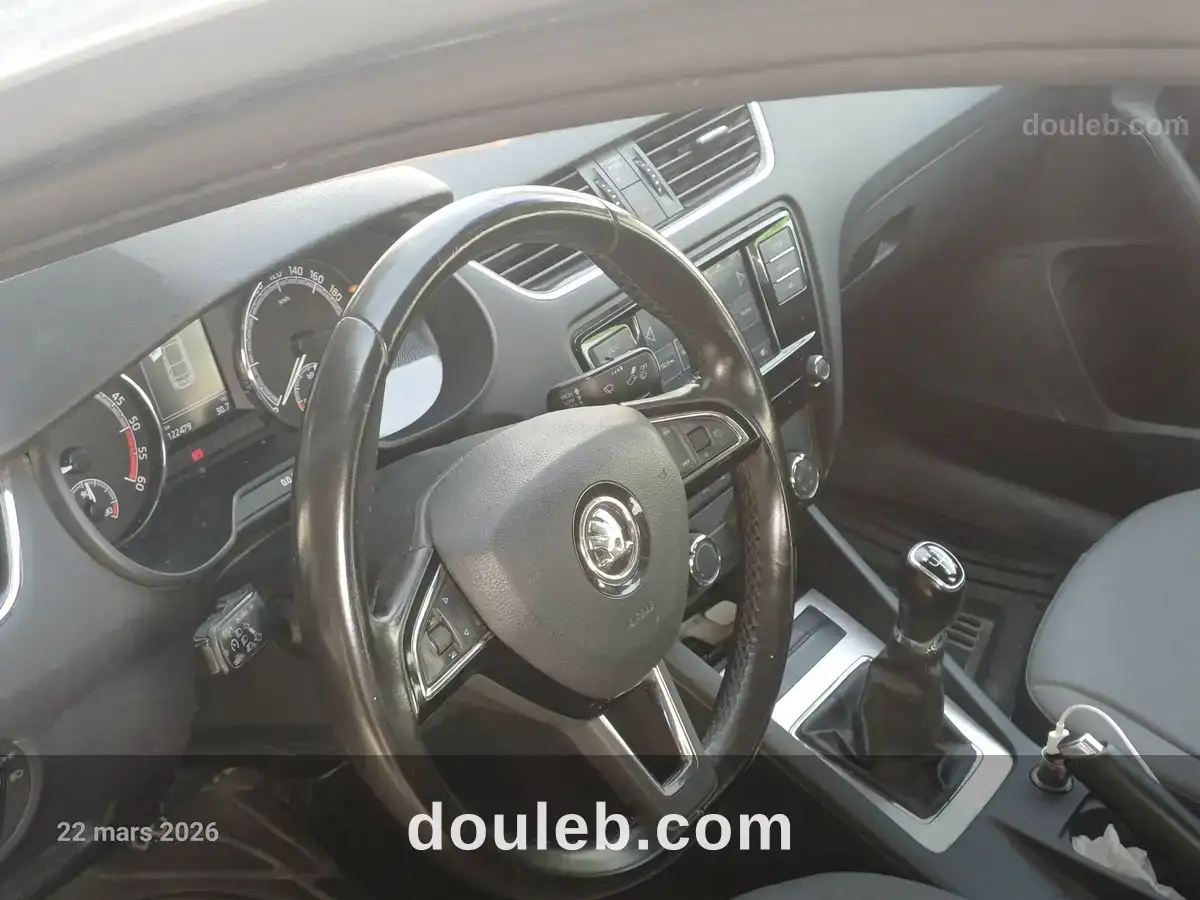 Skoda octavia 2l tdi tres bon etat - Miniature 3