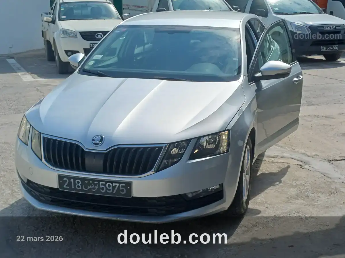 Skoda octavia 2l tdi tres bon etat - Miniature 4