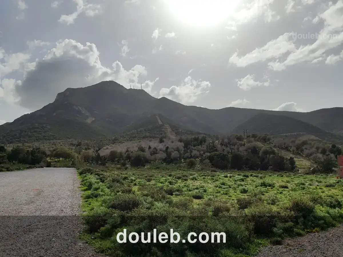 250 mc opportunité a saisir - Miniature 2