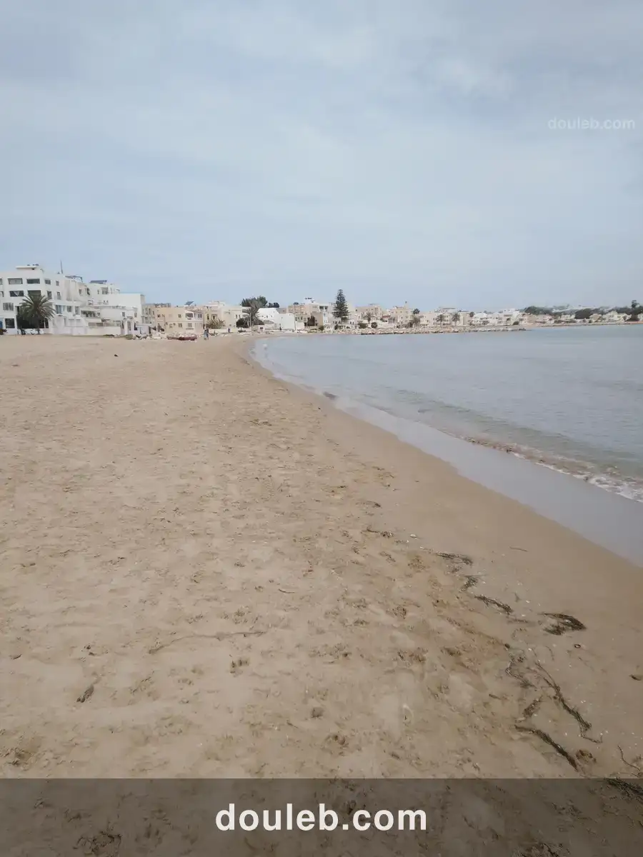 Avec certificat de propriété - Miniature 4