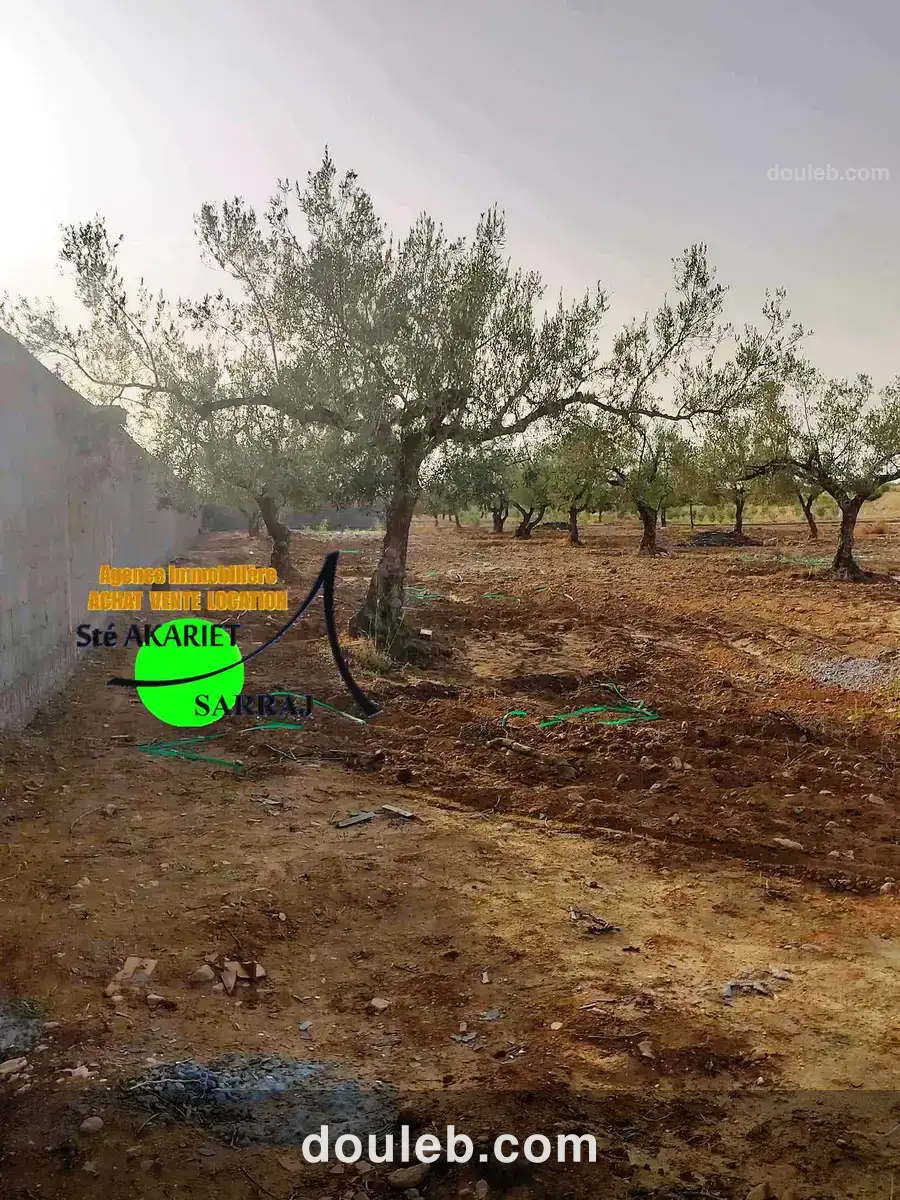 Terrain agricole clôturé 6500m sidi bouali hotmen - Miniature 2