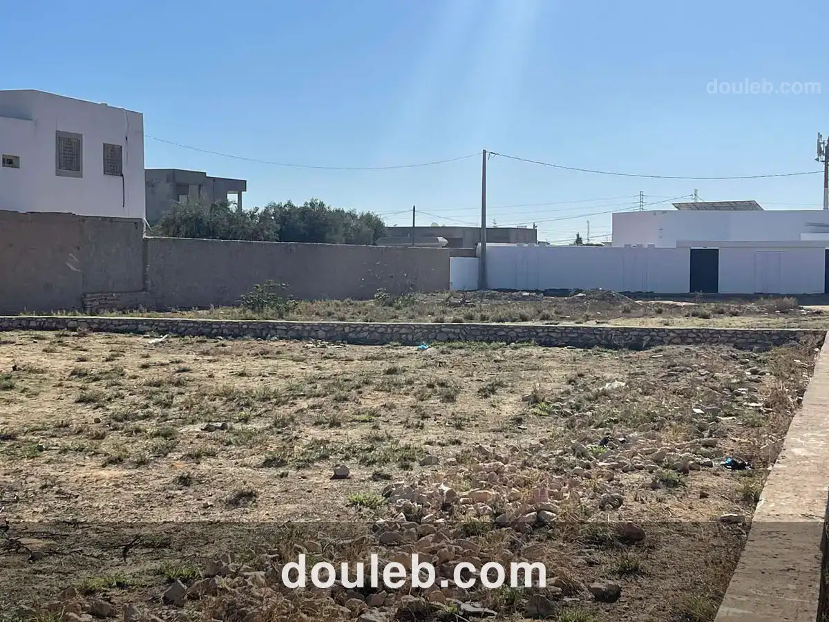 Terrain à lafrane - Miniature 2