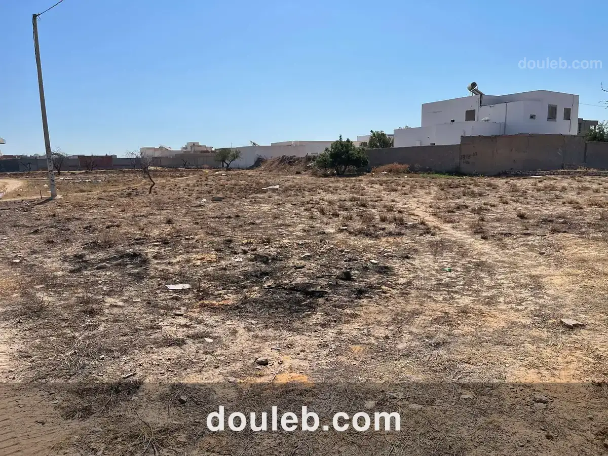 Terrain à lafrane - Miniature 3