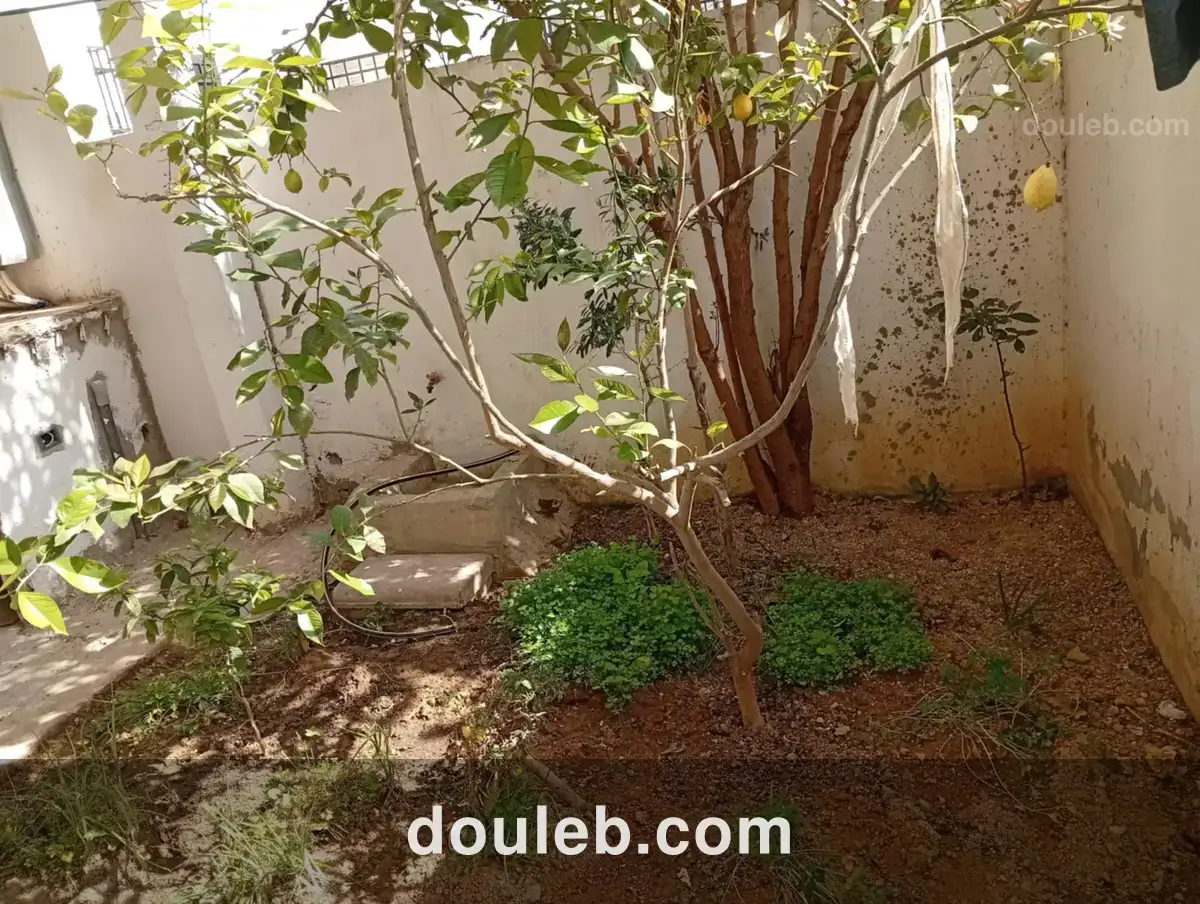 Maison pour une famille ou étudiants - Miniature 2