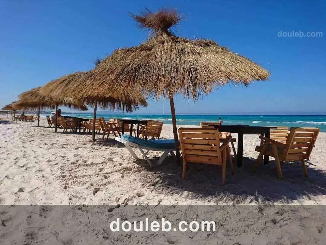 Opportunité de terrain de 5 ha - Photo 1