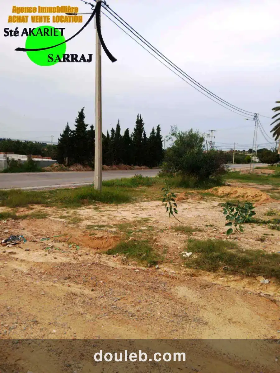 Lots approuvé 370m et 390m et 400m à chatt mariem - Miniature 2