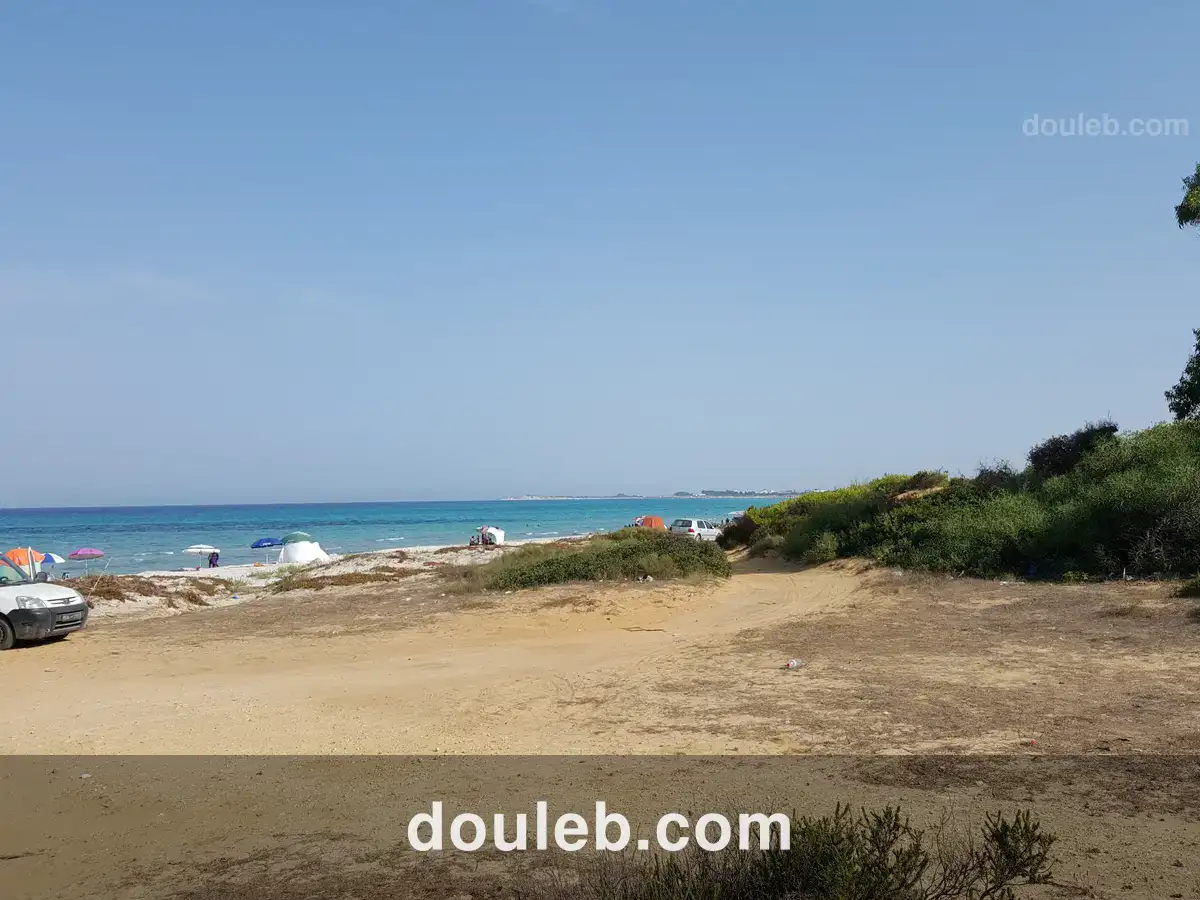 Offre de 50000 mètre carré - Photo 1