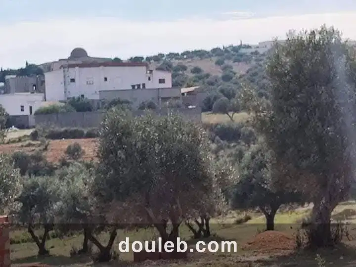 Deux lot bien placer a sanhaja - Miniature 3