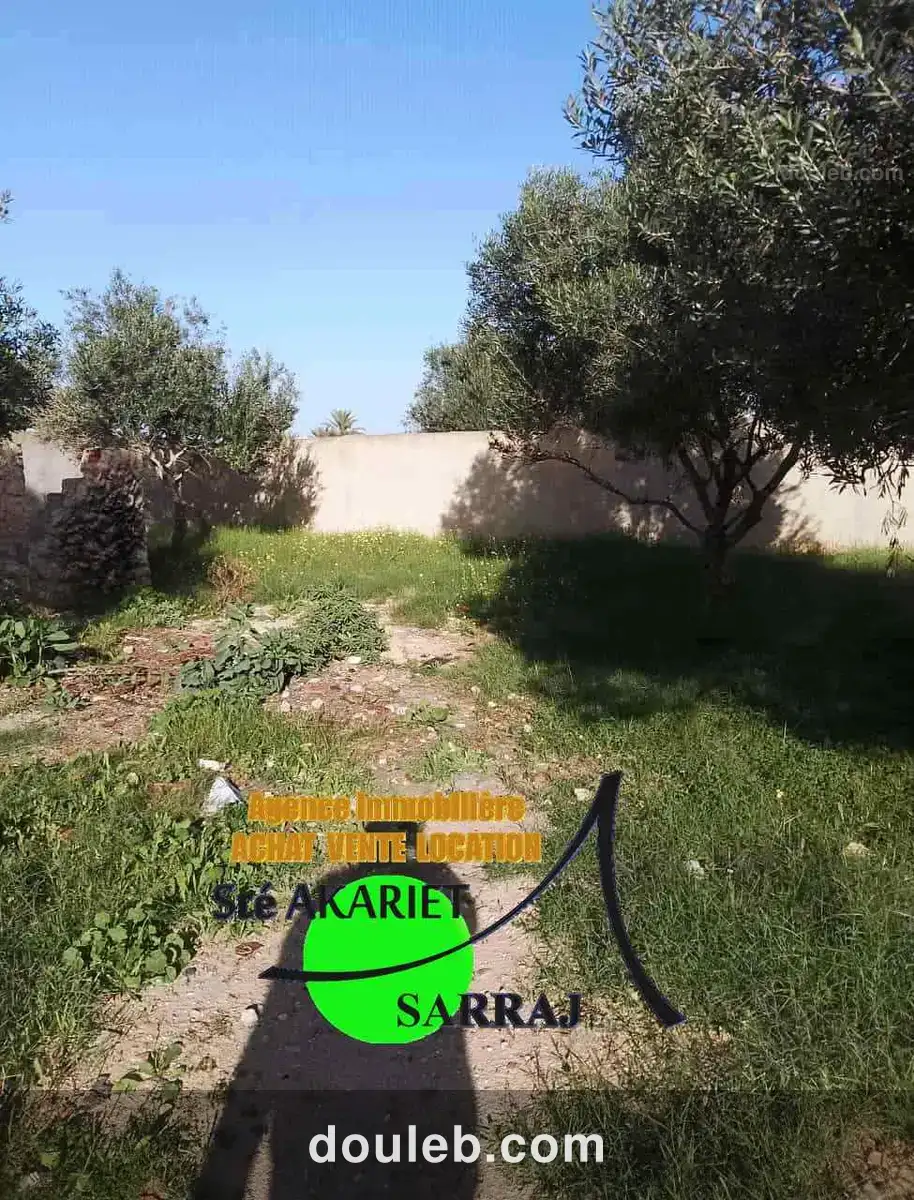 Terrain clôturé titré 300m à hamada hammam sousse - Miniature 2