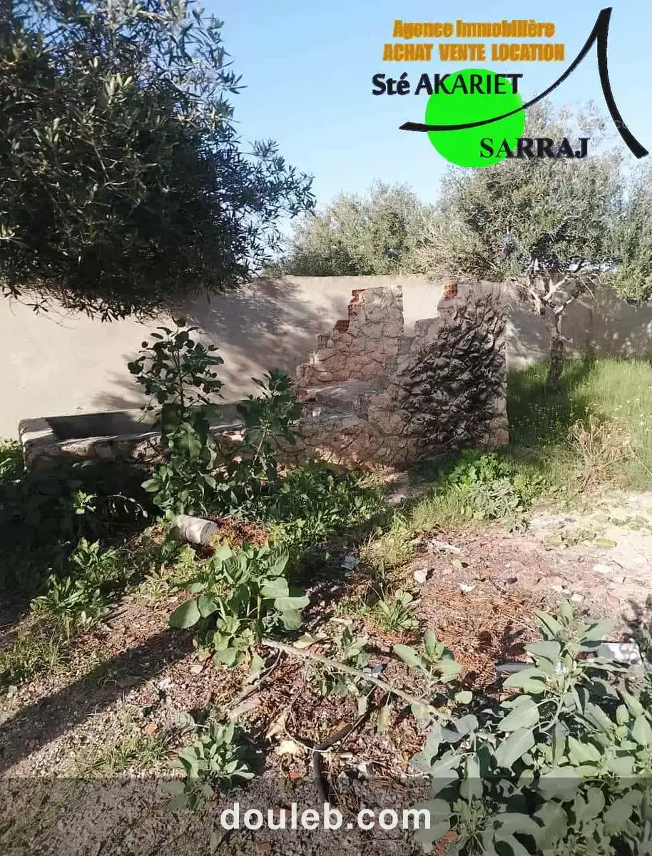 Terrain clôturé titré 300m à hamada hammam sousse - Miniature 3