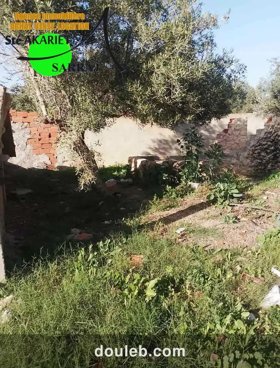 Terrain clôturé titré 300m à hamada hammam sousse - Miniature 4